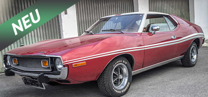 FOR SALE - AMC Javelin 1973 5.0l V8 304cid kaufen