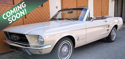 FOR SALE - Ford Mustang Cabriolet 1967 V8 C-Code, Automatik kaufen
