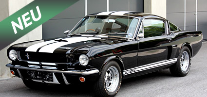 FOR SALE - Ford Mustang Fastback - Shelby GT350 Tribute 1966 - Verkauf